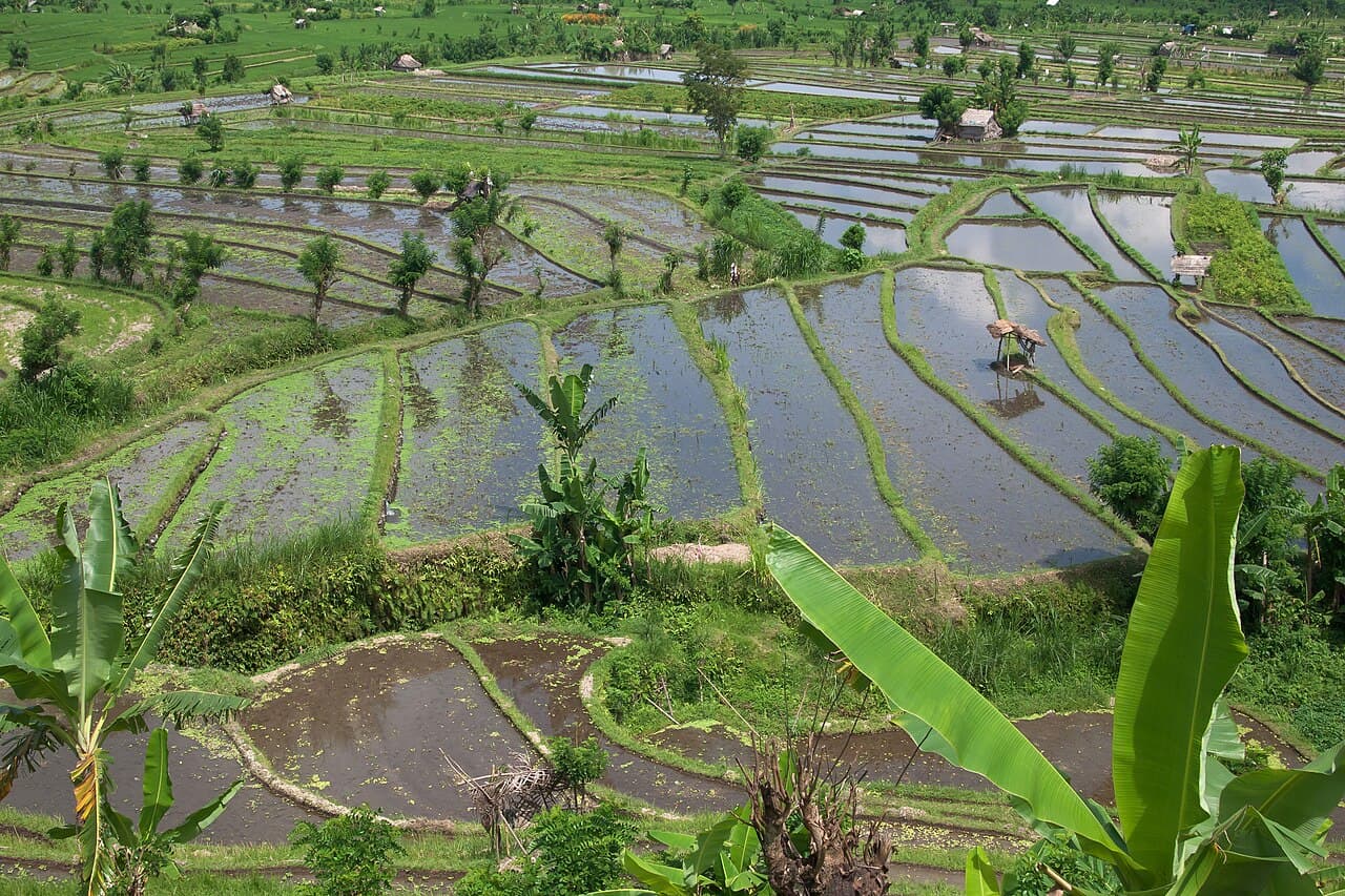 Bali Adventure — Volcano, Rafting & Reefs