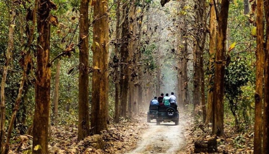 best self-drive car rental service in Delhi